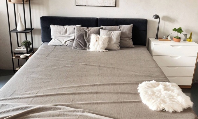 Downtown Apartment | 3-bedroom 2 bath Charming Dwtwn Apt W/Balcony.