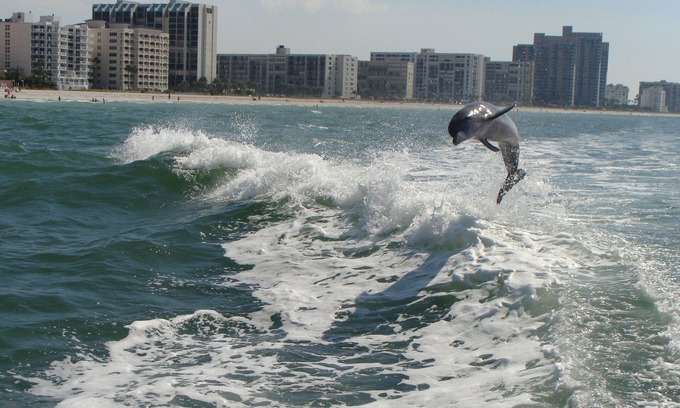 Sand Key Condo | 35-40% discount for 2025-Gorgeous Hideaway on the Beach-Crescent Beach Club