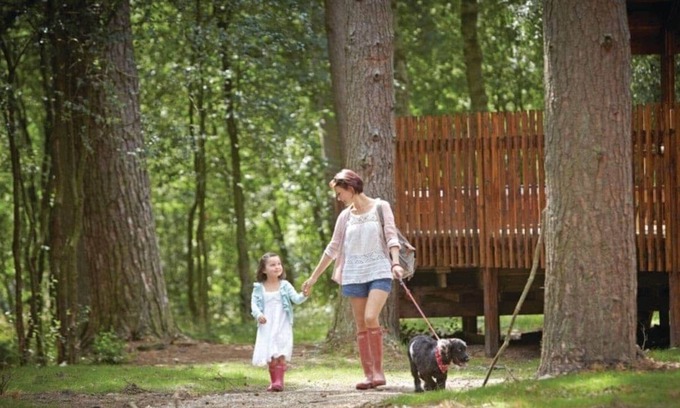 Pickering Cabin | 4 bedroom accommodation in Nr Pickering