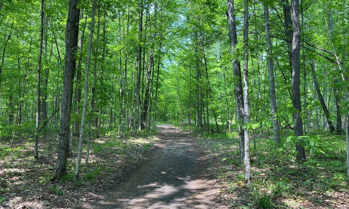 Benzonia RV Rental | #4 Private Wooded Campsite for Tents or Small RV's
