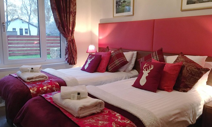 Aviemore House | 4-star accommodation that welcomes your pet as well .The pet friendly Eagle offers fresh chic style