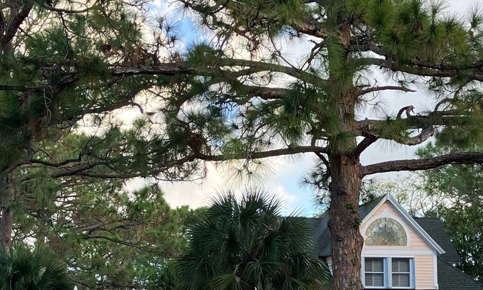 Vero Beach House | 5 ⭐️ Victorian Doll House-(+optional guest house)! 🏡 close to beach! $200 night🏝