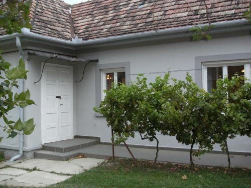 Balatonmagyarod House | 98 Petőfi utca