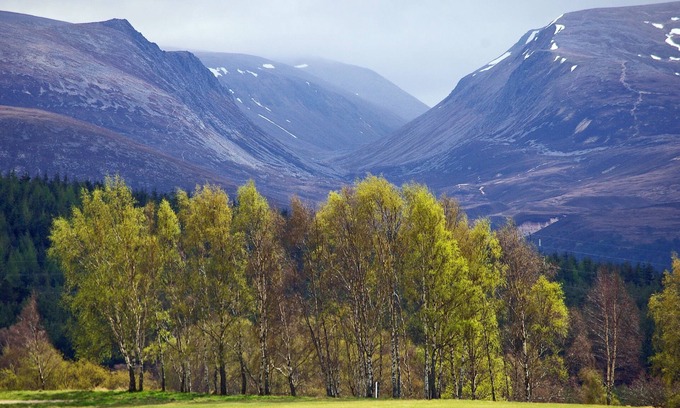 Aviemore House | A delightfully cosy Highland retreat with 4 star quality, comfort and style for 4-6 guests.