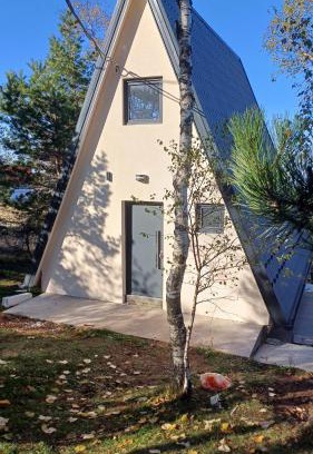 Mionica House | A frame Simić