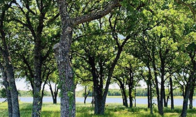 Riesel House | A true elegant, peaceful getaway, Close to Waco, Magnolia Silos and Waco
