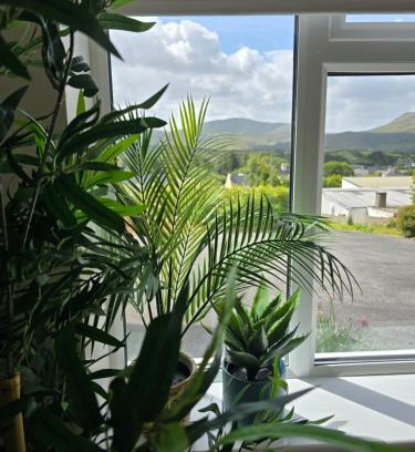 Ardara House | Abbey Lodge - Room 2