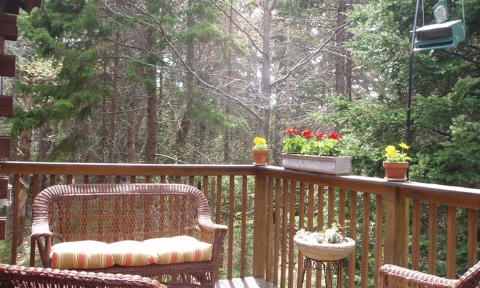 Mount Desert Cabin | Acadia Cabin on 2 Secluded Wooded Acres near Bar Harbor