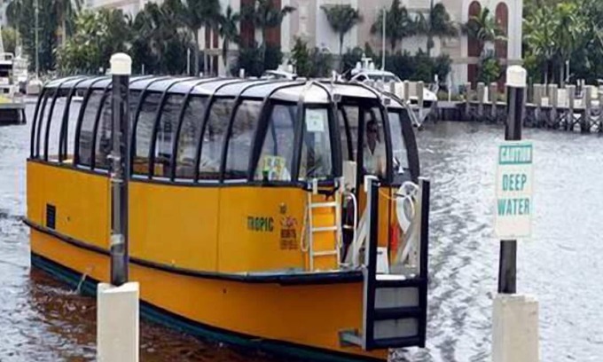 East Fort Lauderdale Hotel | ADORNED WITH BEAUTY, FRAMED NY NATURE, APARTMENT, BLK FROM BCH, ON INTERCOASTAL.