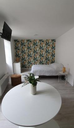 Bourgueil Apartment | Agréable studio