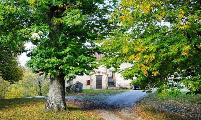 Arcidosso Other | Agriturismo Bio I Rondinelli
