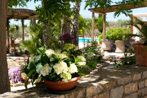 Mockarta House | Agriturismo Don Carlo