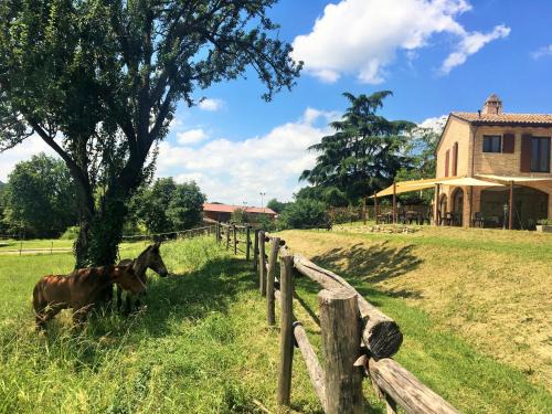 Borghetto House | Agriturismo Il Colle del Falco