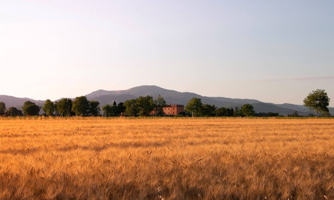 Piombino Other | Agriturismo Il Pescinone - Ciclamino, between the countryside and the sea