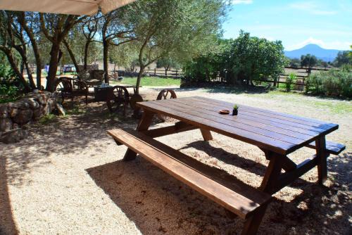Dorgali Bed & Breakfast | Agriturismo Pira Pinta