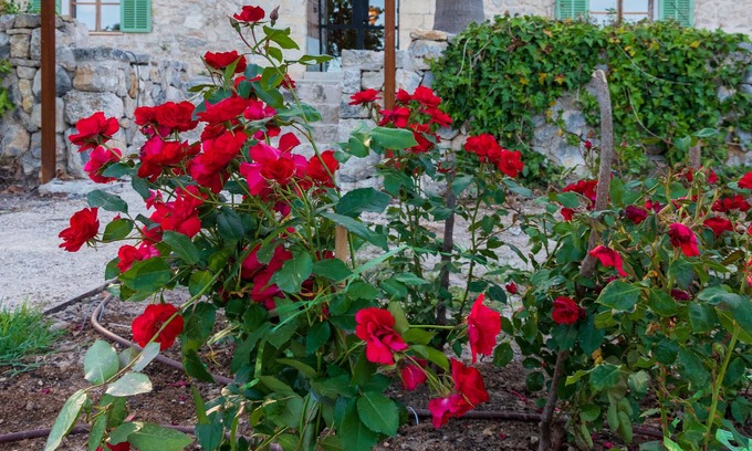 Selva Cottage | Agroturismo en Mallorca