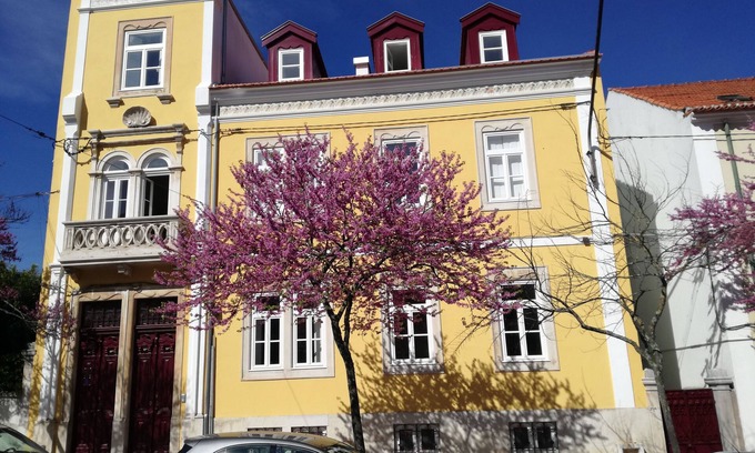 Se Nova Bed & Breakfast | Ah33 - Double or Twin Studio 31 - University and Historic Center