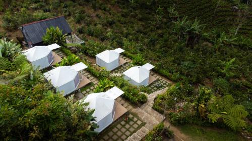 Gobleg Other | Alam Munduk Glamping