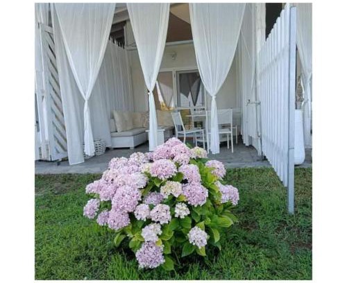 Aristotelis House | Alos 2