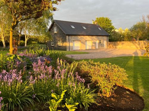 Coleraine Apartment | Alpaca Lodge on the North Coast