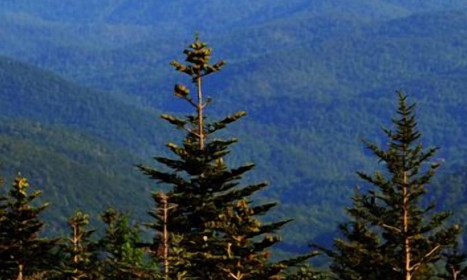 Blowing Rock Hotel | Alpine Village Inn