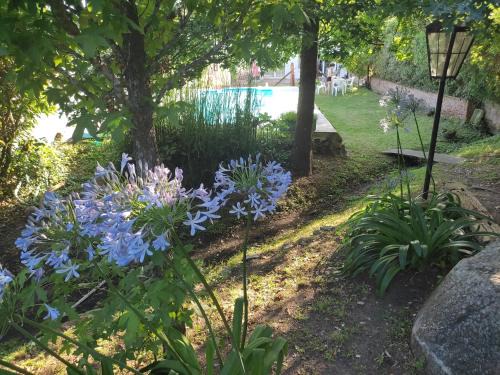 Tandil House | Amaryllis