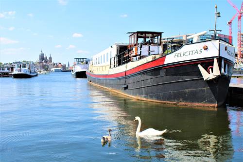 Centrum Boat Rental | Amice