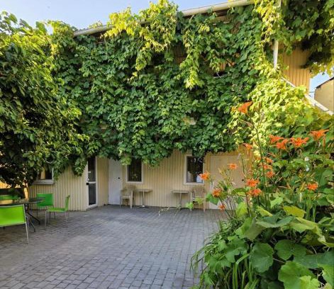Jasienow House | Amio more