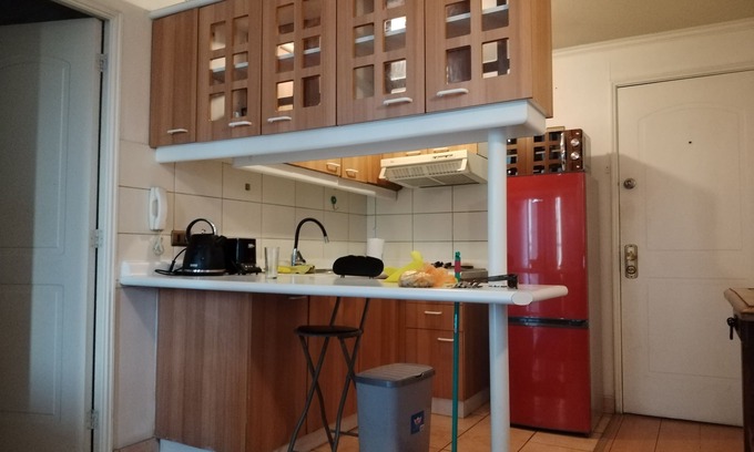 Downtown Santiago Apartment | Amplio Depto Costado Parque de los Reyes, Cercano al Centro y Estación Mapocho