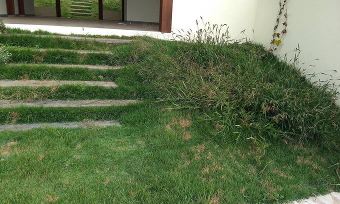 Analandia House | ANALÂNDIA vacation rental