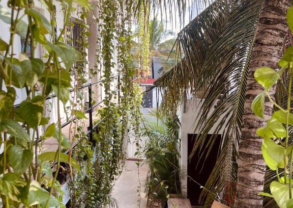 Gonzalo Guerrero Hotel | Anana Coliving