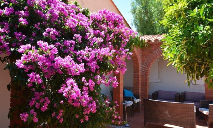Collioure House | Andalusian House - 2 min walk to beach - 1 parking spot - Wifi