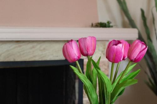 Epanomi Apartment | Anni's Home