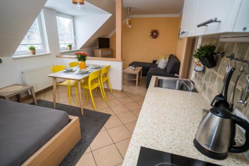 Loucna nad Desnou Apartment | Aparmány Loučná nad Desnou