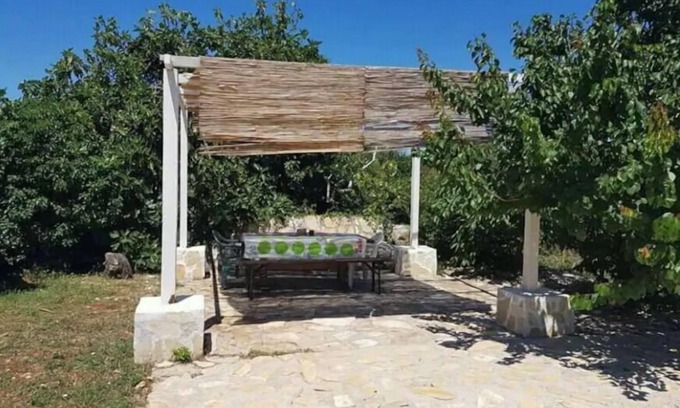 Savar Apartment | Apartments Sea View (10954-A1) - Savar (island of Dugi otok)