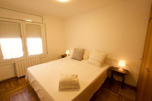 Puigcerda Apartment | Apartament Roma