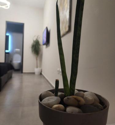 Tirana Apartment | Apartament Tirana Contact