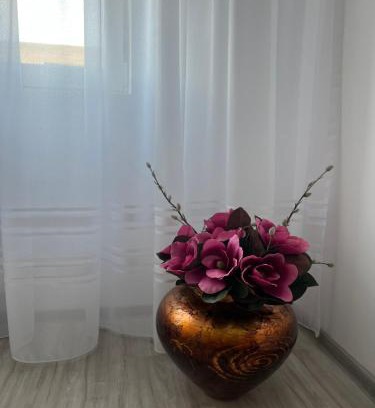 Oradea Apartment | Apartament Tudor
