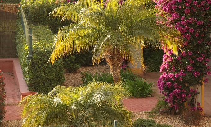Costa Esuri Apartment | "Apartamento Puesta de Sol", Golf, Piscinas. Playas en Costa de la Luz y Algarve