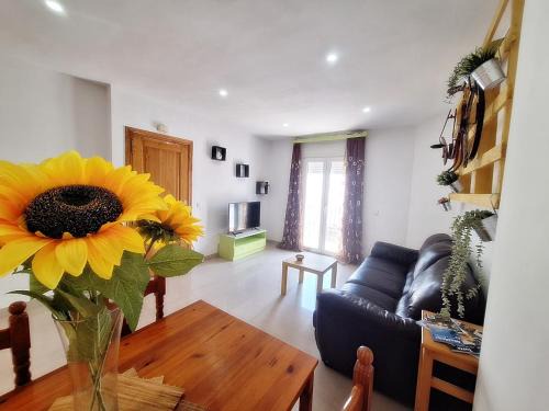 La Parata Apartment | Apartamentos Catalina C