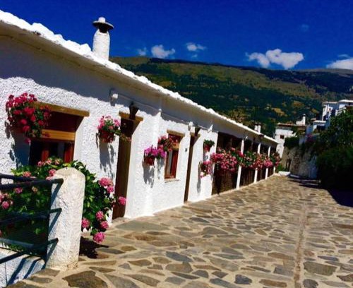 Bubion Apartment | Apartamentos Turísticos Rural Los Tinaos