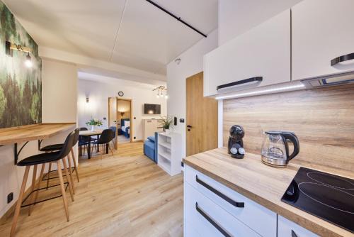 Trutnov Apartment | Aparthotel Rýbrcoul