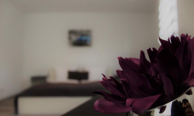 Spiesen-Elversberg Apartment | Aparthotel ZOE Elversberg