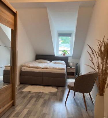 Karlovy Vary Apartment | Apartmán Ambassador