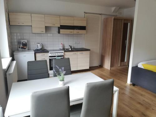 Karlovy Vary Apartment | Apartmán EMA Karlovy Vary
