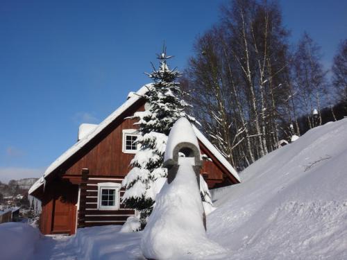 Zlata Olesnice Apartment | Apartmán Na Zlatníku