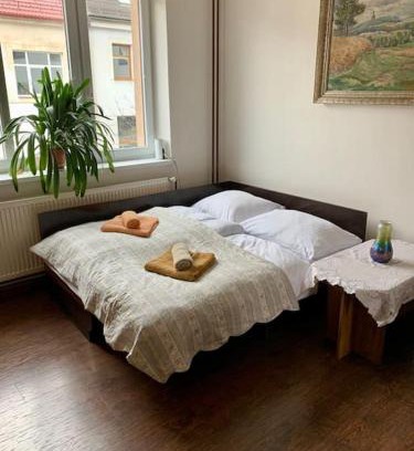 Zdar Nad Sazavou Apartment | Apartmán POD LAMPOU