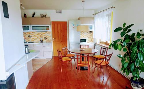 Bila Tremesna Apartment | Apartmán U Zebry