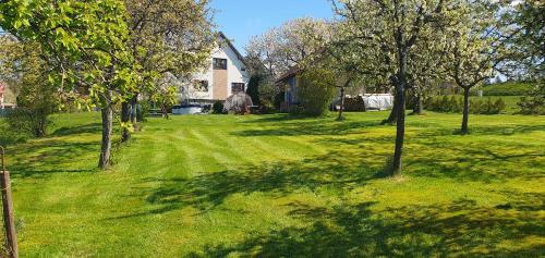 Vysoke nad Jizerou Apartment | Apartmán Vysoké nad Jizerou