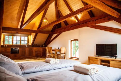 Zeliv Apartment | Apartmány Temechov